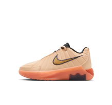 Nike LeBron Witness 9 (HV2270-801)