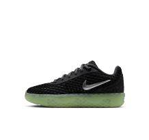 Nike LeBron Witness X (IQ9851-002)