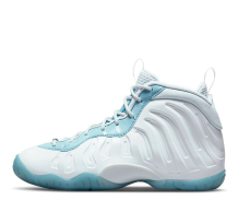 Nike Little Posite One Aura Worn (DM1090 400)