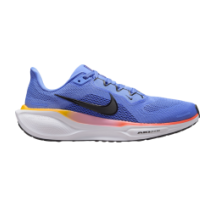 Nike Pegasus 41 (FD2723-402)