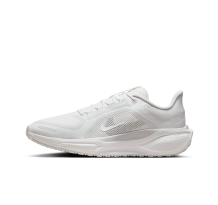 Nike Pegasus 41 GORE TEX (FQ1356-101) in weiss