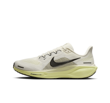 Nike Pegasus 41 Stra (FD2722-109)