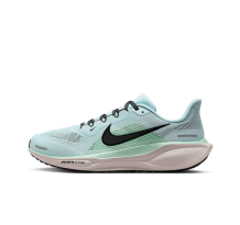 Nike Pegasus 41 Stra (FD2722-406)