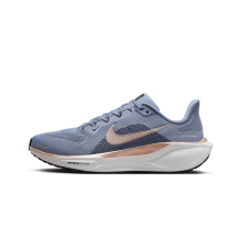 Nike Pegasus 41 (FD2723-403)