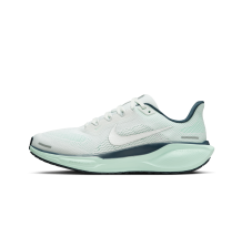 Nike Pegasus 41 (FD2723-405)