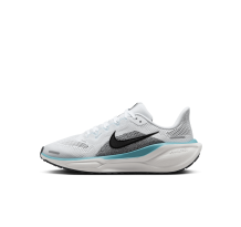 Nike Pegasus 41 (FN5041-103)