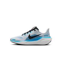 Nike Pegasus 41 (FN5041-109)