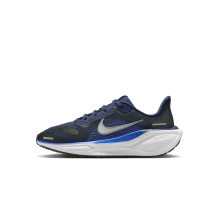 Nike Pegasus 41 (FN5041-400)