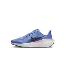 Nike Pegasus 41 (FN5041-403)