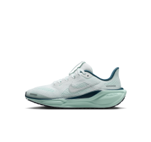 Nike Pegasus 41 GS (FN5041-404)