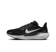 Nike Pegasus 41 (FQ0965-002)