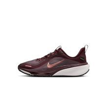 Nike Pegasus 42 GORE TEX wasserdichter (IO2332-610)