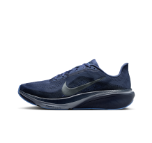 Nike Pegasus 42 (IB1873-401)
