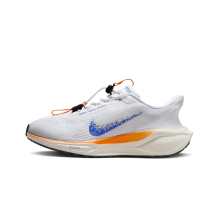 Nike Pegasus EasyOn Blueprint (HM0375-900) in bunt