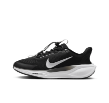 Nike Pegasus EasyOn Stra (FQ7844-002) in schwarz