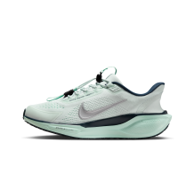 Nike Pegasus EasyOn Air Zoom 41 Ghost Aqua Mint Foam (FQ7844-400)