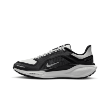 Nike Pegasus 41 GTX Air GORE TEX (FQ1357-002)