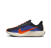 Nike Pegasus Plus (FQ7262-008) in bunt