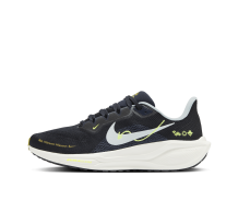 Nike Pegasus (HQ3452-041) in schwarz