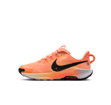 Nike Pegasus Trail 5 (FV5638-800)