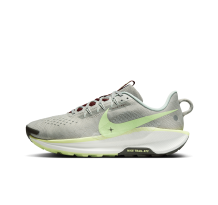 Nike Pegasus Trail 5 (DV3864-004)