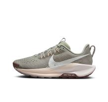 Nike Pegasus 5 Trail (DV3865-300)