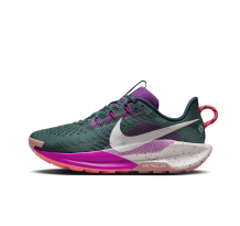 Nike Pegasus 5 Trail (DV3865-401)