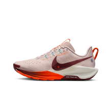 Nike Pegasus Trail 5 (DV3865-602)