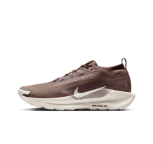 Nike Pegasus Trail 5 GORE TEX SP (HQ7494-200)