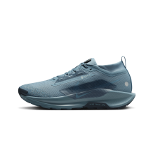 Nike Pegasus Trail 5 GORE TEX wasserdichter (FQ0908-005) in blau