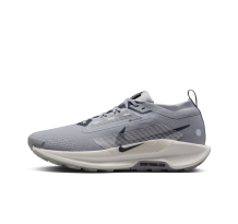 Nike Pegasus Trail 5 GORE TEX (FQ0908-006) in grau