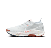 Nike Pegasus Trail 5 Gore Tex (FQ0912-007)