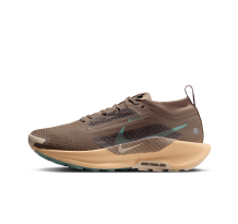 Nike Pegasus Trail 5 Gore TEX (FQ0912-200)