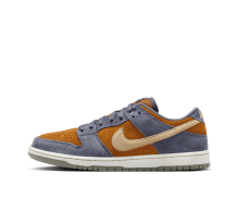 Nike Dunk Low SB (HF3063 002)