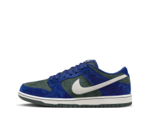 Nike Dunk Low SB (HF3704-400) in blau