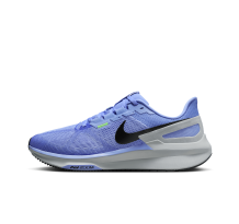 Nike Structure 25 (DJ7883-402) in blau