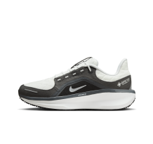 Nike Winflo 11 GORE TEX wasserdichter Stra (FQ1358-004) in grau