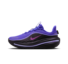 Nike Winflo 12 GORE TEX wasserdichter (IO7960-500)