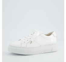 Paul Green 0078 5469 038 (5469-038)