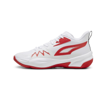 PUMA Genetics (379974/004)