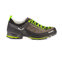 Salewa TRAINER 2 (61357-0471) in bunt