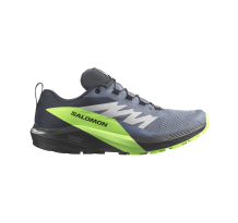 Salomon Sense Ride 5 GORE TEX GTX (L47312800) in grau