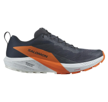 Salomon Sense Ride 5 GORE TEX GTX (L47459400) in blau