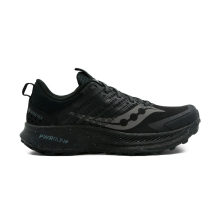 Saucony Ride TR2 GTX (S10953-14)
