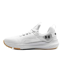 Under Armour Project Rock BSR 3 Halo Grey (3026462-101)