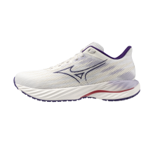 Mizuno Wave Inspire 21 (J1GD254425)