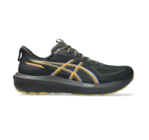 Asics GT 1000 14 GTX (1011C078.001)