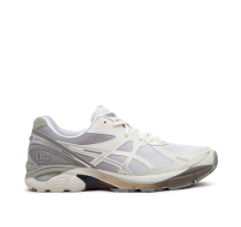 Asics x Dime GT 2160 Arctic (1201A887-100)