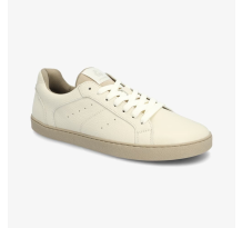 Groundies Universe (GND-210055-50)