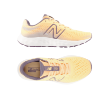 New Balance 520 (W520-FT8)